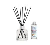 Maison Berger Paris Bouquet Parfumé Bouquet Cube con Bastoncini - Diffusore di Profumo