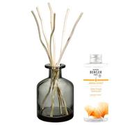 Maison berger paris Set regalo Aroma Energy diffusore grigio + ricarica Fresh tonic 200ml - Set Diffusore Ambiente