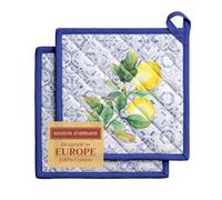 Maison d'Hermine Set di presine, 100% cotone, resistenti al calore, 20 cm x 20 cm, con anello per barbecue, per maneggiare padelle calde, san Regali per la festa della mamma (confezione da 2)