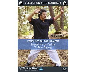 Maître Ming Shan : L'essence du Mouvement (La Posture de l'arbre-Yi Quan Qigong)