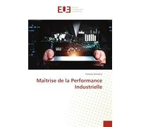 Maîtrise de la Performance Industrielle
