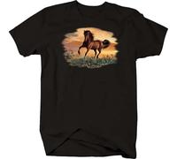 Majestic Brown Stallion Horse Galloping in Field Sunset Mountains T-Shirt O Neck Tee Black M