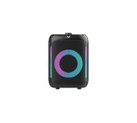 Majestic FIRE 14 Cassa Party Speaker Bluetooth 160W PMPO 20W RMS, Luci LED Multicolore, TWS, USB AUX Microfono con Effetto Eco, Batteria Ricaricabile 3000mAh, Presa USB-C