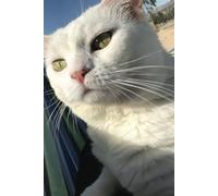 Majestic White Cat in a Hammock- Journaling and/or Note Taking: Majestic White Cat in a Hammock, journal wide rule, adult, teen, family friendly, cute ... daily journaling, note taking, 100-pages