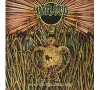 MAJOR KONG - DOOM FOR THE BLACK SUN