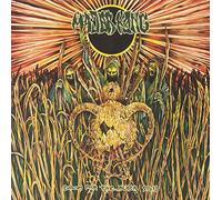 Major Kong - Doom For The Black Sun