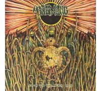 Major Kong Doom for the Black Sun (Vinyl LP) 12" Album