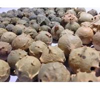 Majuphal Manjakani Quercus Infectoria Nutgalls Gallnuts Oakgalls 60 g - 1 kg ...