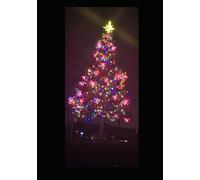 Make The Christmas Magic: Set up the smallest string of tiny white lights.