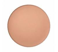 Makeup Shiseido Sun Protection 12G Tanning Compact Foundation Refill Spf10 (Makeup) Per Donna Honey