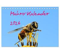 Makro-Kalender 2026 (Tischkalender 2026 DIN A5 quer), CALVENDO Monatskalender: Ein Jahreskalender mit Makros über unsere einheimischen Insekten