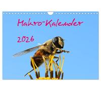Makro-Kalender 2026 (Wandkalender 2026 DIN A4 quer), CALVENDO Monatskalender: Ein Jahreskalender mit Makros über unsere einheimischen Insekten
