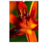 Makro World (Wandkalender 2026 DIN A3 hoch), CALVENDO Monatskalender: Die Welt der Natur aus einer neuen Blickrichtung erleben!