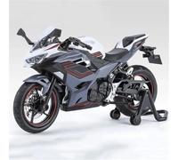 MAKUTU Modello di moto in scala Modellino Di Moto In Lega Simulazione 1:12 Per Kawasaki 400 Racing, Pressofuso, Giocattolo Da Collezione, Miniatura, Decorazione Per La Casa(Grey)