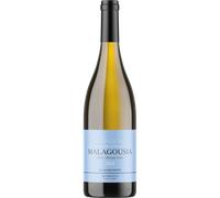 Malagousia High Altitude Vines 2024 - Kanakaris Winery Slopes of Aigialia