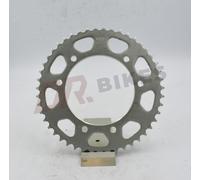 Derbi 50 Senda R X ' Race 06-11 AFAM Acciaio Posteriore Pignone 47103-47