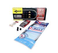 MALAGUTI F10 JET LINE RST. E1 KAT. 50 KIT CINGHIA RULLI TASSELLI 1992 2002
