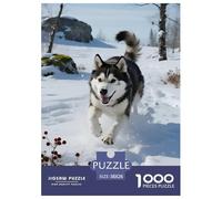 Malamute dell' Alaska1000Pezzi Jigsaw PuzzleCane Adatto Per Uomini E Donne, Puzzle Delfino, Confezione Alta Qualità, Sfide Divertenti38x26cm/1000pcs