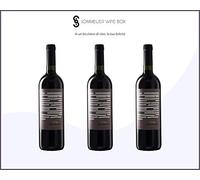 MALBEC Single Vineyard Reserva La Consulta | Cantina El Hijo Prodigo | Annata 2017