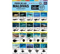 Maldivas Guia De Campo Para Peces: El Top 200+ (Spanish)
