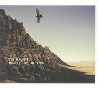 Maldives - Muscle for the Wing