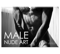 Male Nude Art (Wall Calendar 2026 DIN A3 landscape), CALVENDO 12 Month Wall Calendar: Stylish men - Nude art in an aesthetic abstraction of lines and bodies