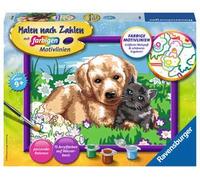 Malen nach Zahlen. Hund und Katze