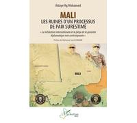 Mali - Les ruines d’un processus de paix surestimé: « La médiation internationale et le piège de la garantie diplomatique non contraignante »