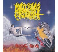 Malicious Onslaught - Brutal Gore