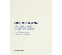 Malinconie dopo l'amore. Poesie di provincia e polaroid emiliane