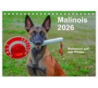 Malinois - Wahnsinn auf vier Pfoten (Tischkalender 2026 DIN A5 quer), CALVENDO Monatskalender: Der belgische Schäferhund ist ein toller Begleiter mit viel Power, Herz und Ausdauer.