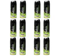 Malizia Uomo Profumo d’Intesa Deodorante Spray 100 ml - Eau de Toilette Maschile, Fragranza Intensa e Duratura, Freschezza per Tutto il Giorno (Sound 12 Unità)