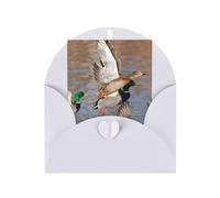 Mallard Ducks - Biglietto di auguri verticale con scritta "Thinking Of You" (lingua italiana non garantita)