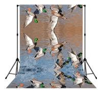 Mallard Ducks - Tenda con stampa di anatre reali 1,5 x 2,1 m, con tasca per appendere gli accessori per la fotografia in diretta streaming