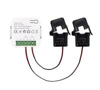 Malloy Contatore di Energia WiFi Intelligente Tuya Bidirezionale con Trasformatore di Corrente App Monitor Potenza 80A Supporto Allarme 2 Canali - 2CT