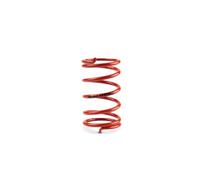 MALOSSI 29 6955.R0 Molla di Contrasto Variatore MULTIVAR Rossa, Compatibile con Piaggio