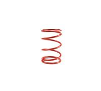 MALOSSI 29 7043.R0 Molla di Contrasto Variatore MULTIVAR Rossa, Compatibile con Honda, per Bsv