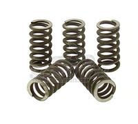 MALOSSI 2912018 Serie molle rinforz. per frizione