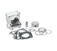 MALOSSI 3111627 KIT GRUPPO TERMICO CILINDRO Ø 58 ALLUMINIO HONDA PANTHEON 125 ie