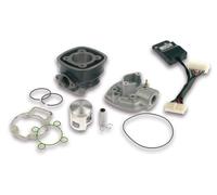 MALOSSI 3112044 GRUPPO TERMICO D.47 GHISA SP.12 SR FACTORY DITECH RUNNER NRG 2T