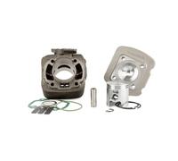 MALOSSI 318734 Gruppo termico Ø47 ghisa spin.Ø12