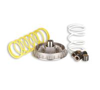 MALOSSI 5111226 Variatore MULTIVAR 2000, Compatibile con Honda FES Foresight 250, Piaggio X9 250