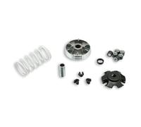 Malossi 5111597 Variatore MULTIVAR 2000 per Scooter 50 4t compatibile con Piaggio Vespa, Aprilia