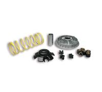 MALOSSI 5111838 KIT VARIATORE MULTIVAR 2000 KYMCO X-CITING 250 4T LC euro 2