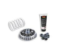 MALOSSI 5116277 variatore MULTIVAR 2000