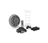 MALOSSI 5117454 Variatore MULTIVAR 2000 per Scooter, Compatibile con QUADRO QUADRO D, QUADRO 3 350 2016-2017, QUADRO 350S 350 2016-2018