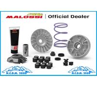 MALOSSI 5118238 VARIATORE MULTIVAR MHR TEAM 2 ALUMINUM PIAGGIO NRG Power DD 50