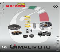 MALOSSI 513863 VARIATORE MULTIVAR PER CICLOMOTORE PIAGGIO BOSS 50 2T