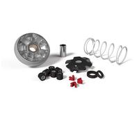 Malossi 517075 Variatore MULTIVAR omologato MALAGUTI F12-PHANTOM 50