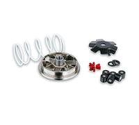 MALOSSI 517382 VARIATORE Piaggio Zip Fast Rider 50